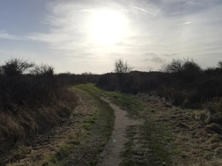 De Panne (België)